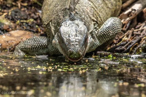 freshwater-well-9844